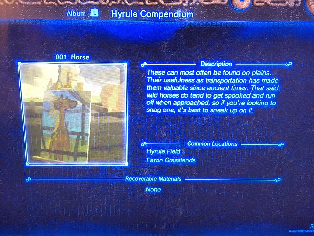 Zelda BotW and Zelda in general Video Games Front Row Crew Forum